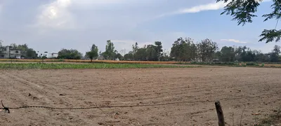Barnagar, Madhya Pradesh 456771, India preview 2