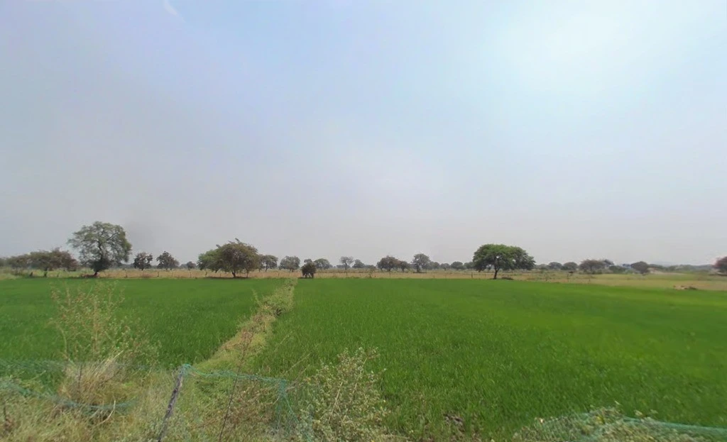 Samesar, Chhattisgarh 491337, India