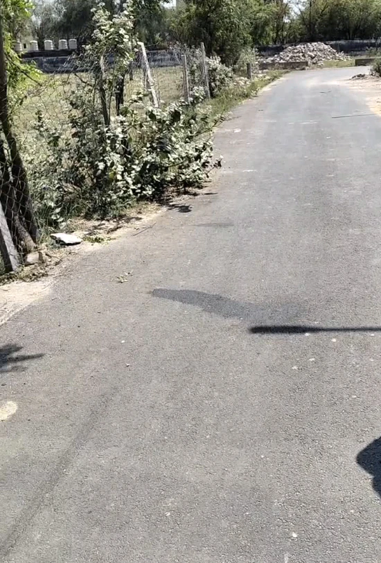 9V85+J5J, Laxmangarh, Rajasthan 321607, India