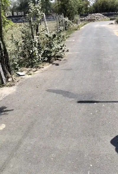9V85+J5J, Laxmangarh, Rajasthan 321607, India preview 3