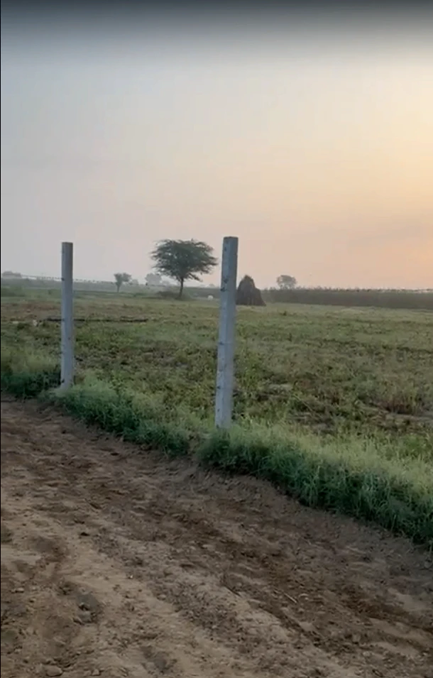 JRVM+7VX, Goojarpur Kalan, Rajasthan, India