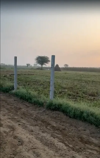JRVM+7VX, Goojarpur Kalan, Rajasthan, India preview 2