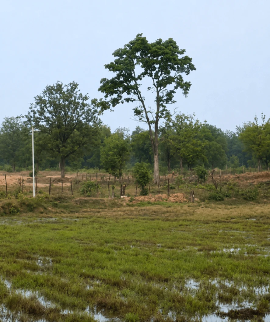 Puranpur, Pilibhit, Uttar Pradesh 262122, India