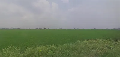Shri Hargobindpur, Punjab 143515, India preview 2