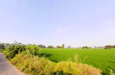 Ludana, Haryana 126113, India preview 3