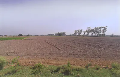 Gudha, Haryana 132114, India preview 2