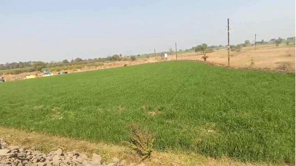 2RXH+6G6, Silodamori, Madhya Pradesh 456006, India