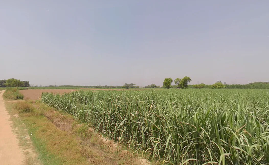 2RX4+8CF, Incholi, Uttar Pradesh 250001, India preview 2