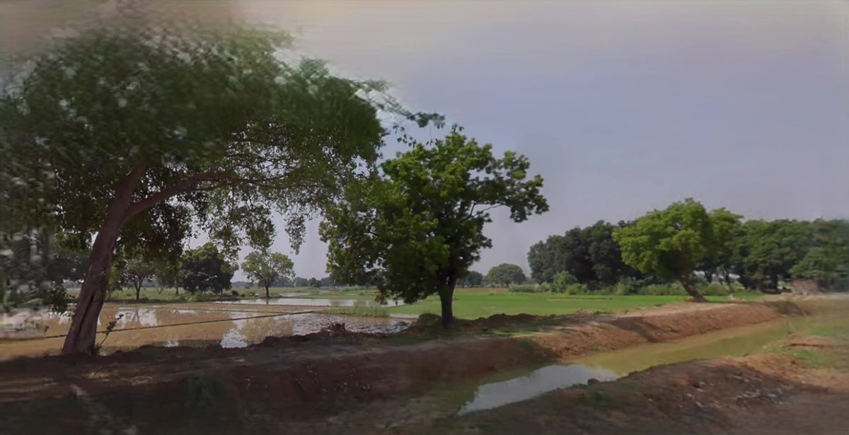 Rewari, Haryana 123401, India