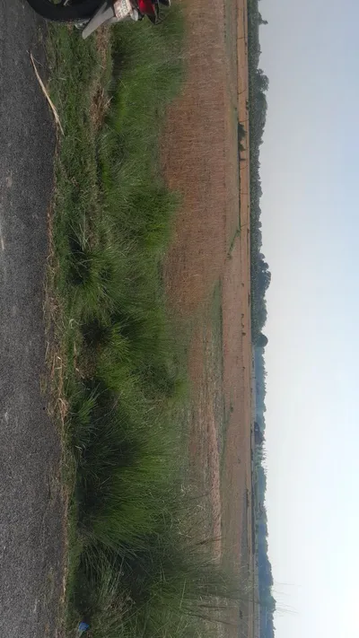 P5M8+P7 Chandpur Harbanshpur, Uttar Pradesh, India preview 2