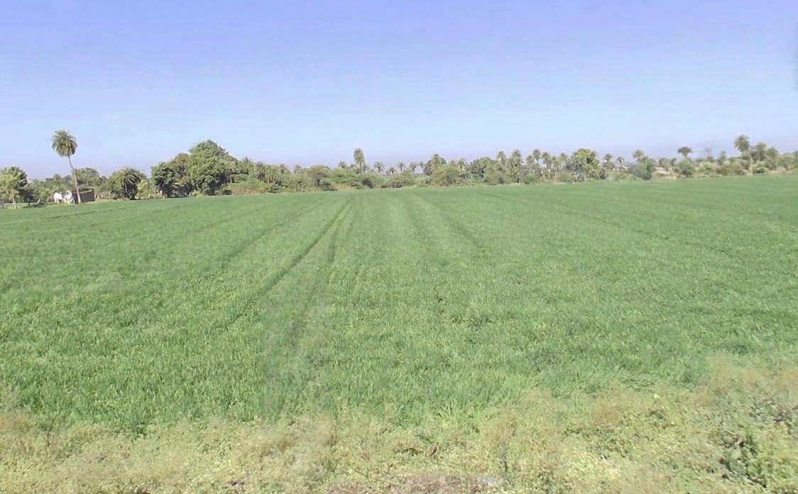 Maksi, Madhya Pradesh, India