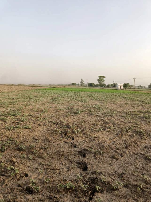 Jakhopur, Haryana 122103, India