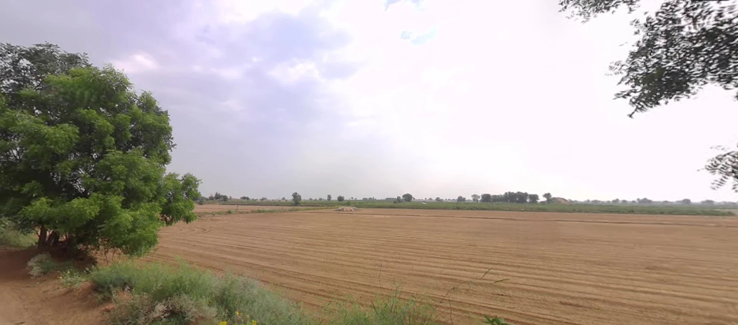 Kaluana, Haryana 125103, India