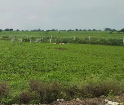 Jewara, Chhattisgarh 491335, India preview 3