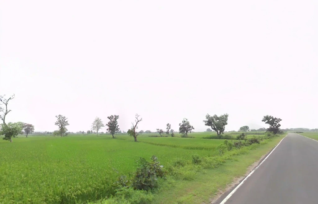 R665+867, Ward Number 1, Chhura, Chhattisgarh 493996, India