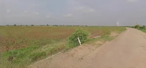 Barnagar, Madhya Pradesh 456771, India preview 2