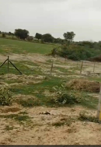 MX5C+7J, Jaipur, Hukkan, Rajasthan 303901, India