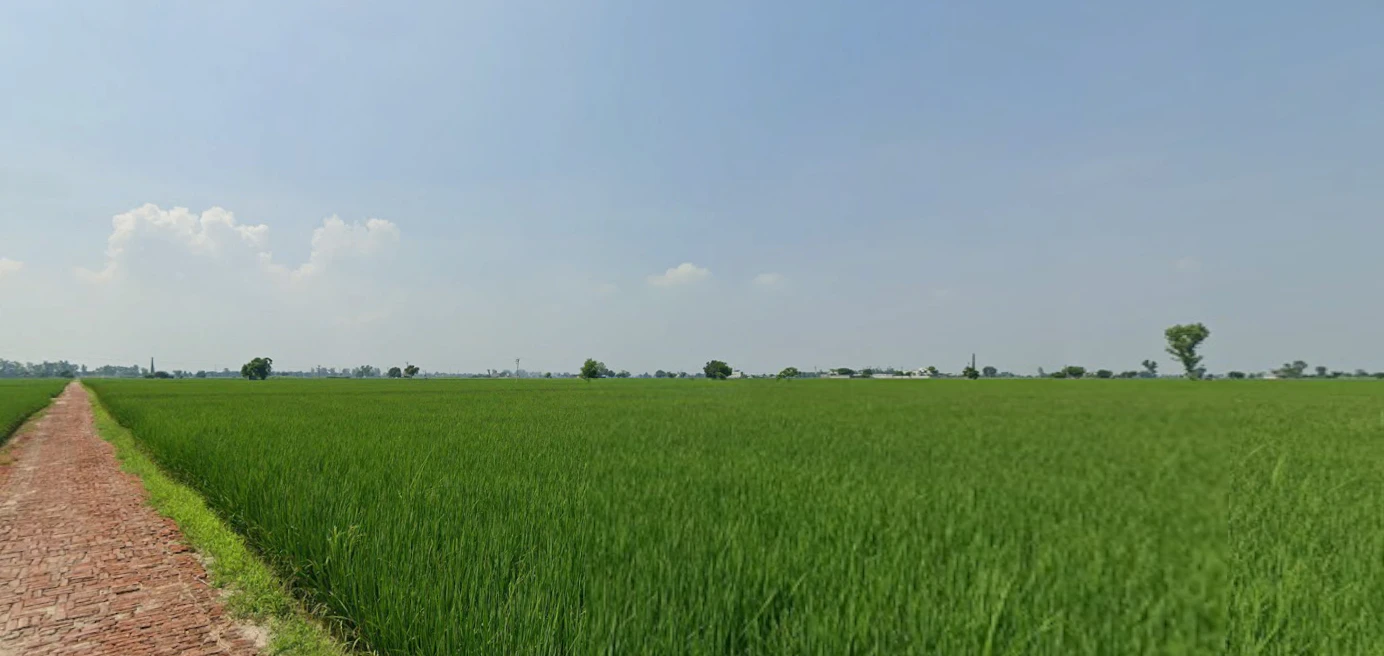 Nurpur Bedi, Punjab 140117, India