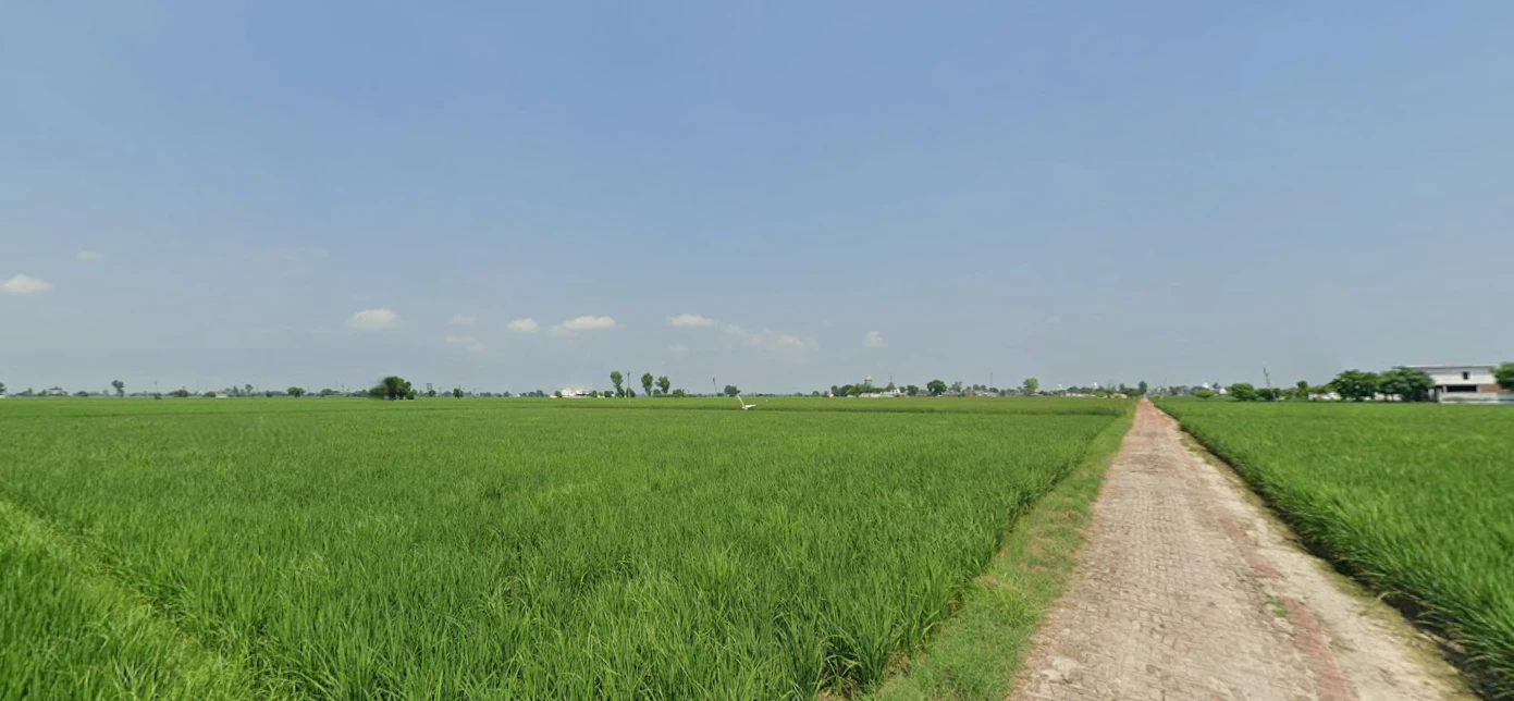 Nurpur Bedi, Punjab 140117, India