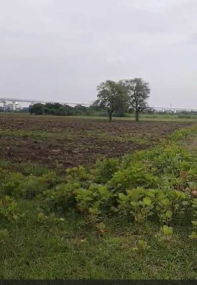 2CVF+XV Bhavabhi Khijadiya, Jamnagar, Gujarat, India