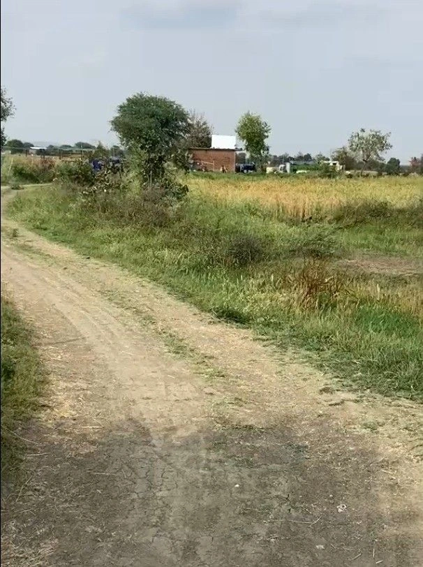 Pichhore, Madhya Pradesh 473995, India