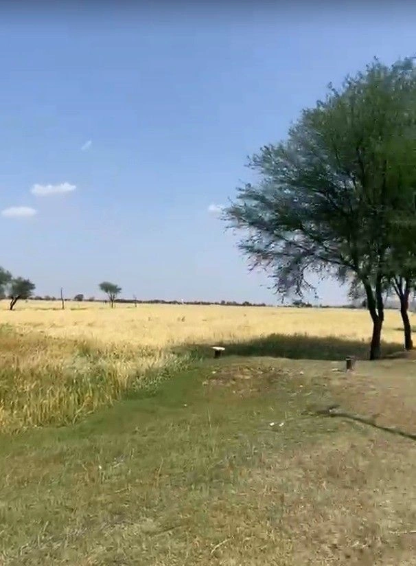 X8FM+X66, Akbai Badi, Madhya Pradesh 475110, India