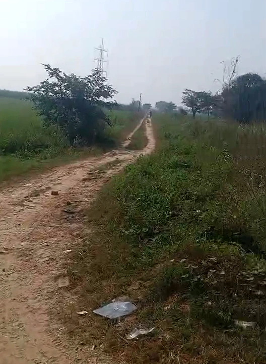 Dariyapur, Bulandshahr, Uttar Pradesh 203001, India - Photo 2