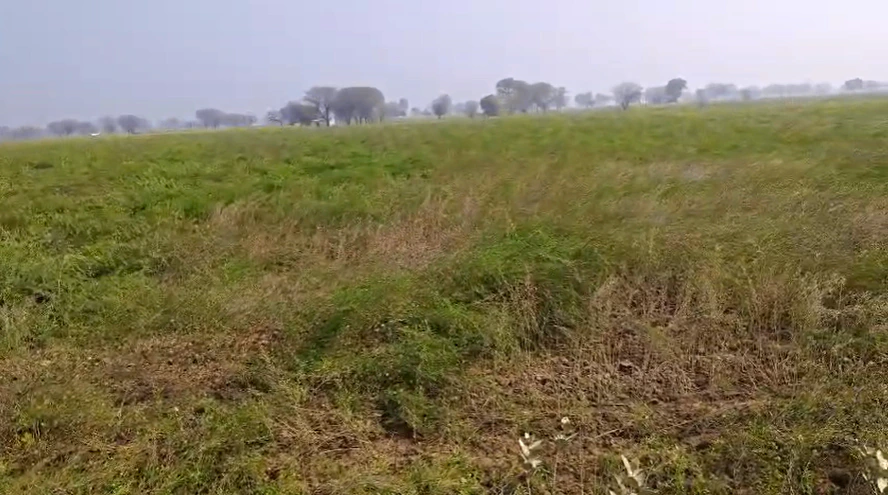 4VRX+39 Gopal Garh, Rajasthan, India