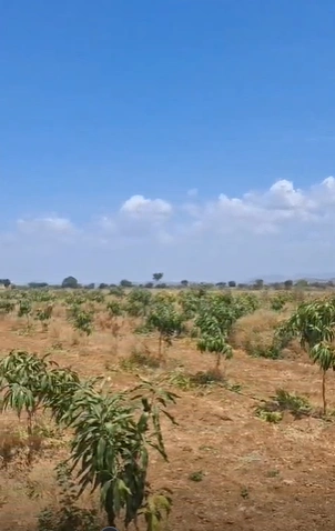 26J5+QP Ghodade, Dhule District, Maharashtra, India - Photo 2