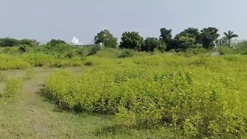 Devli Khurd, Kota, Rajasthan 326519, India