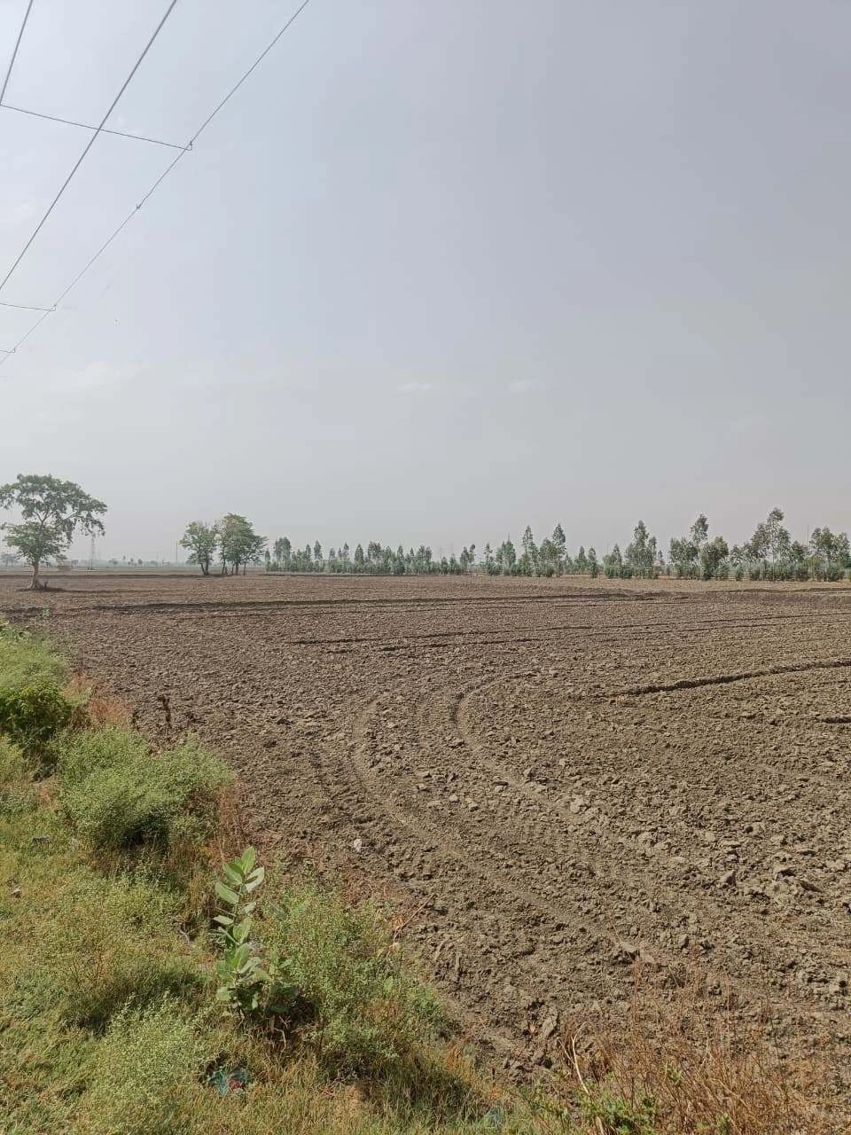 Aou, Rajasthan, India preview 2
