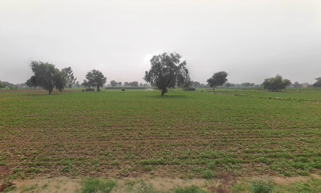 Khabran Kalan, Haryana 125053, India