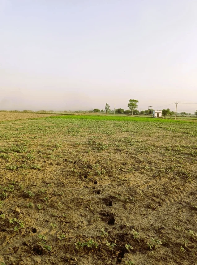 Mehrana, Rajasthan, India