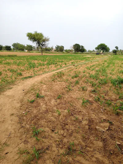 Resti, Rajasthan 301021, India preview 3