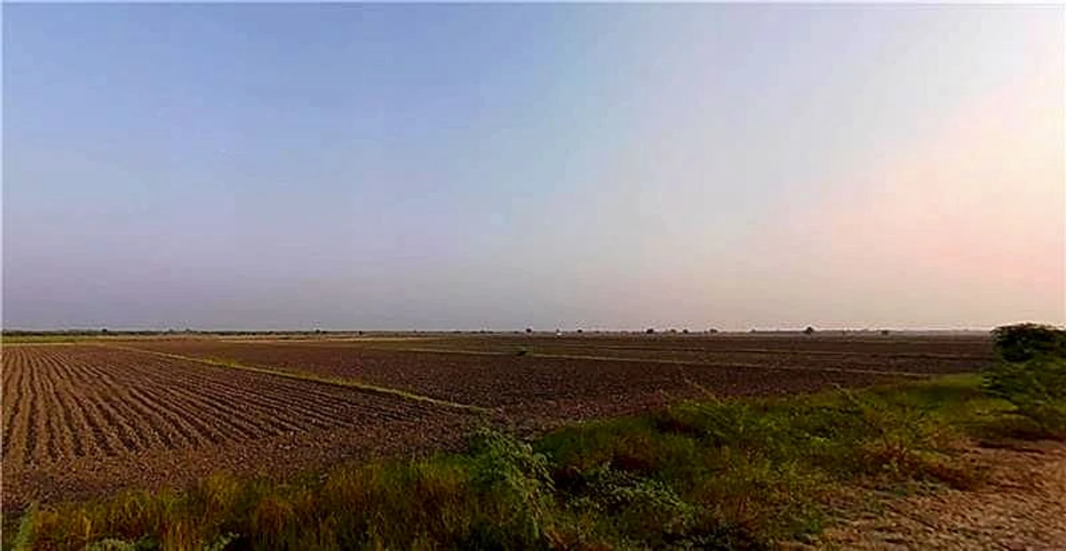 Ambliyara, Gujarat 383325, India