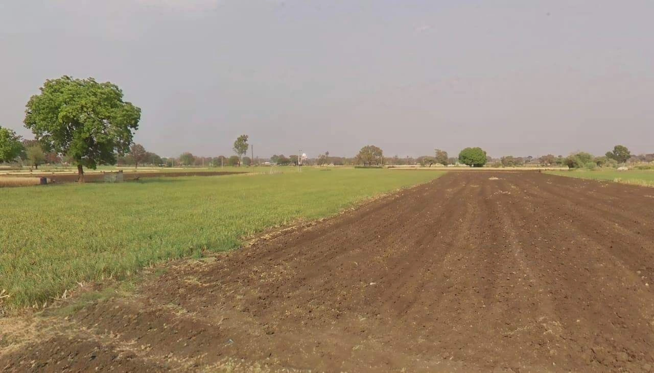 Berasia, Madhya Pradesh 463106, India