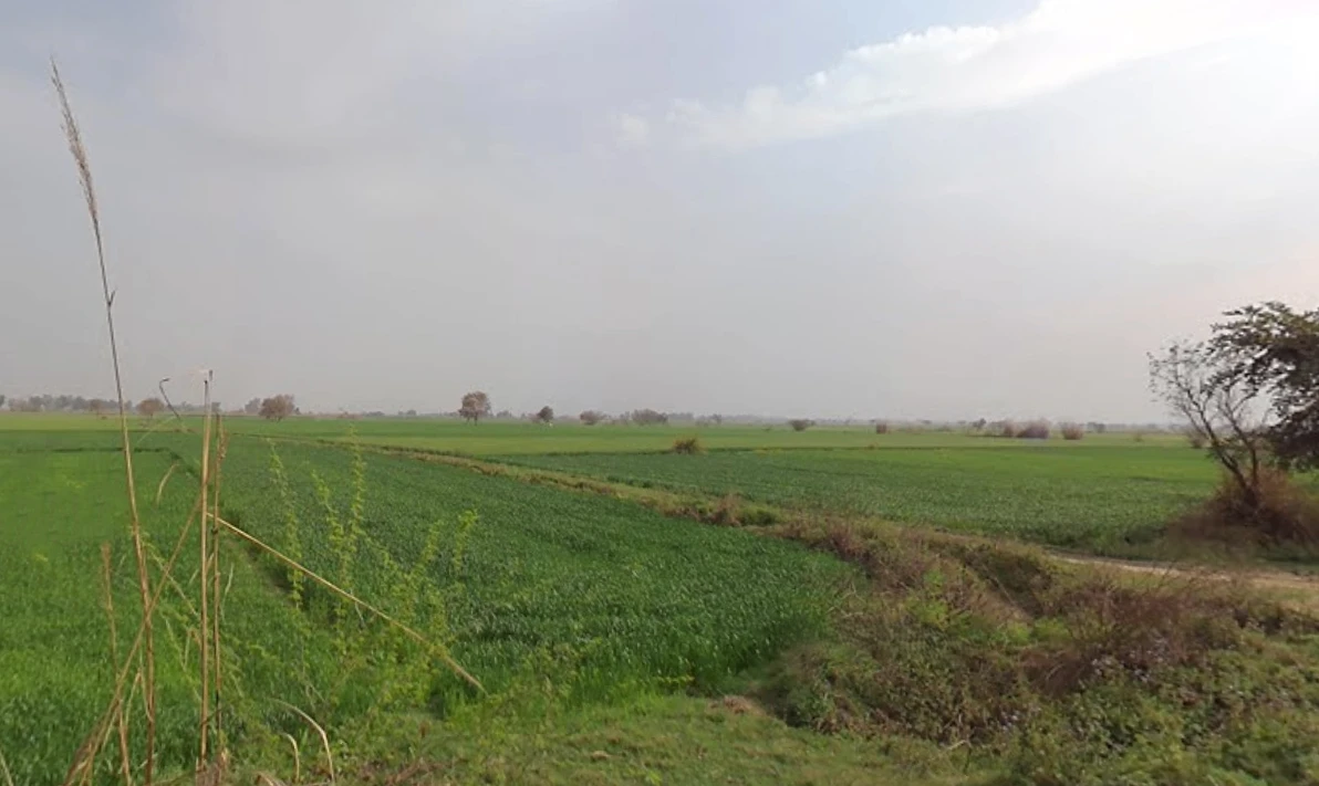 Jhajjar, Haryana 124103, India