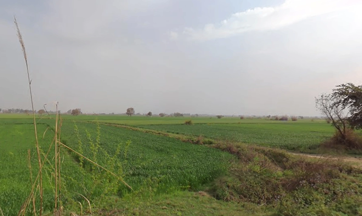 Jhajjar, Haryana 124103, India