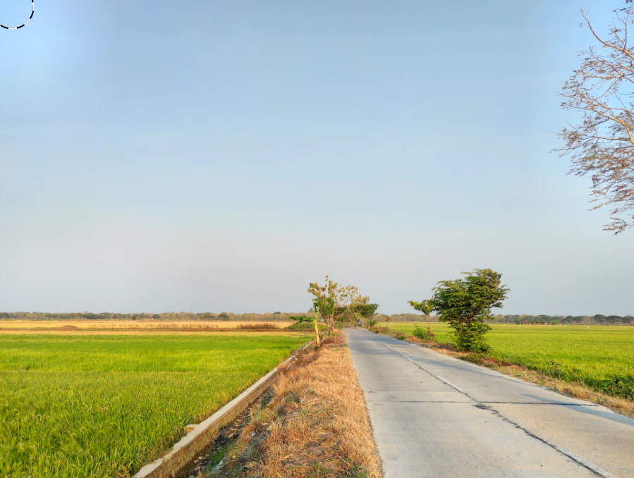 CF6M+QPP, Palkhi, Madhya Pradesh 456335, India