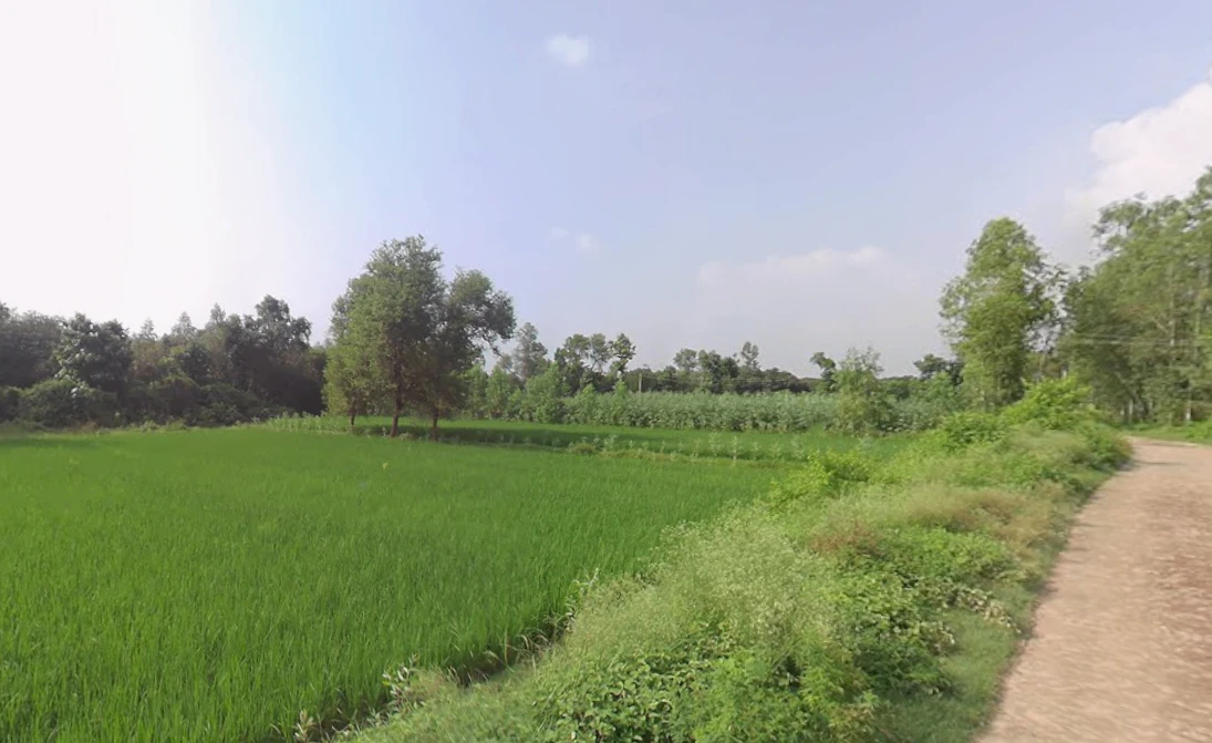 Raipur, Uttar Pradesh 247121, India