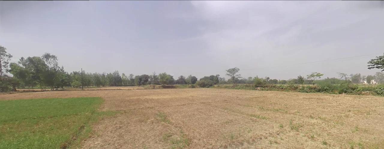 Shyampur, Uttarakhand 249408, India preview 2