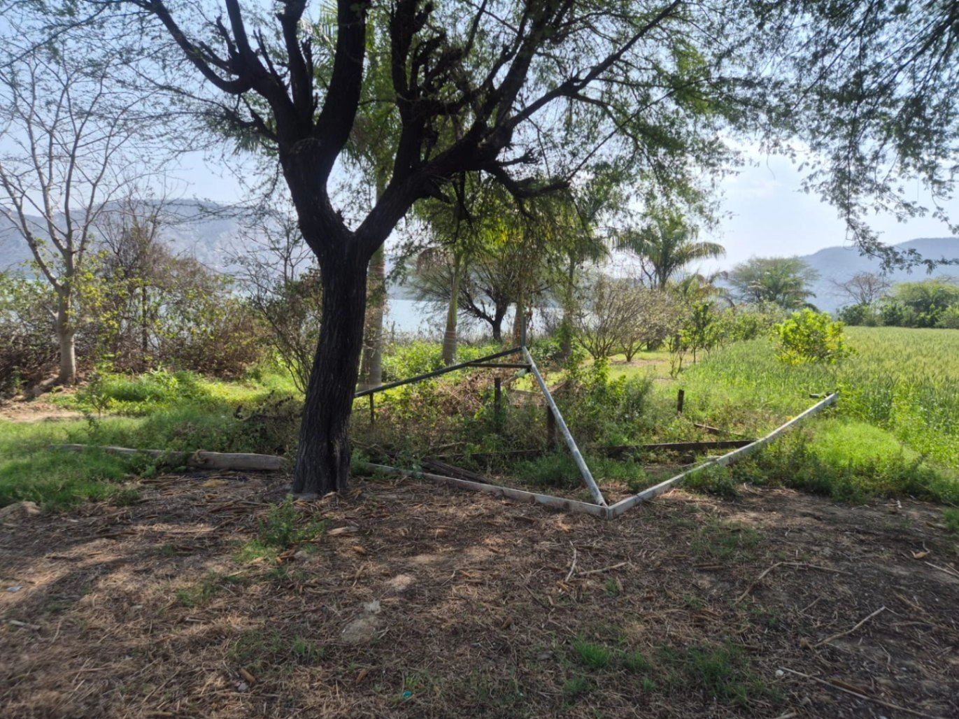 GGJF+3RP, Kishanpur, Rajasthan 301001, India preview 5