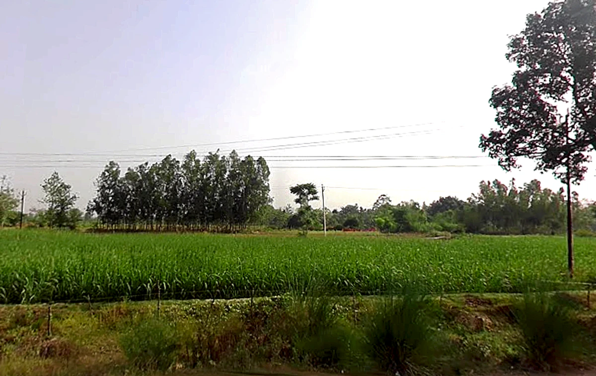 Sidhauli, Uttar Pradesh, India