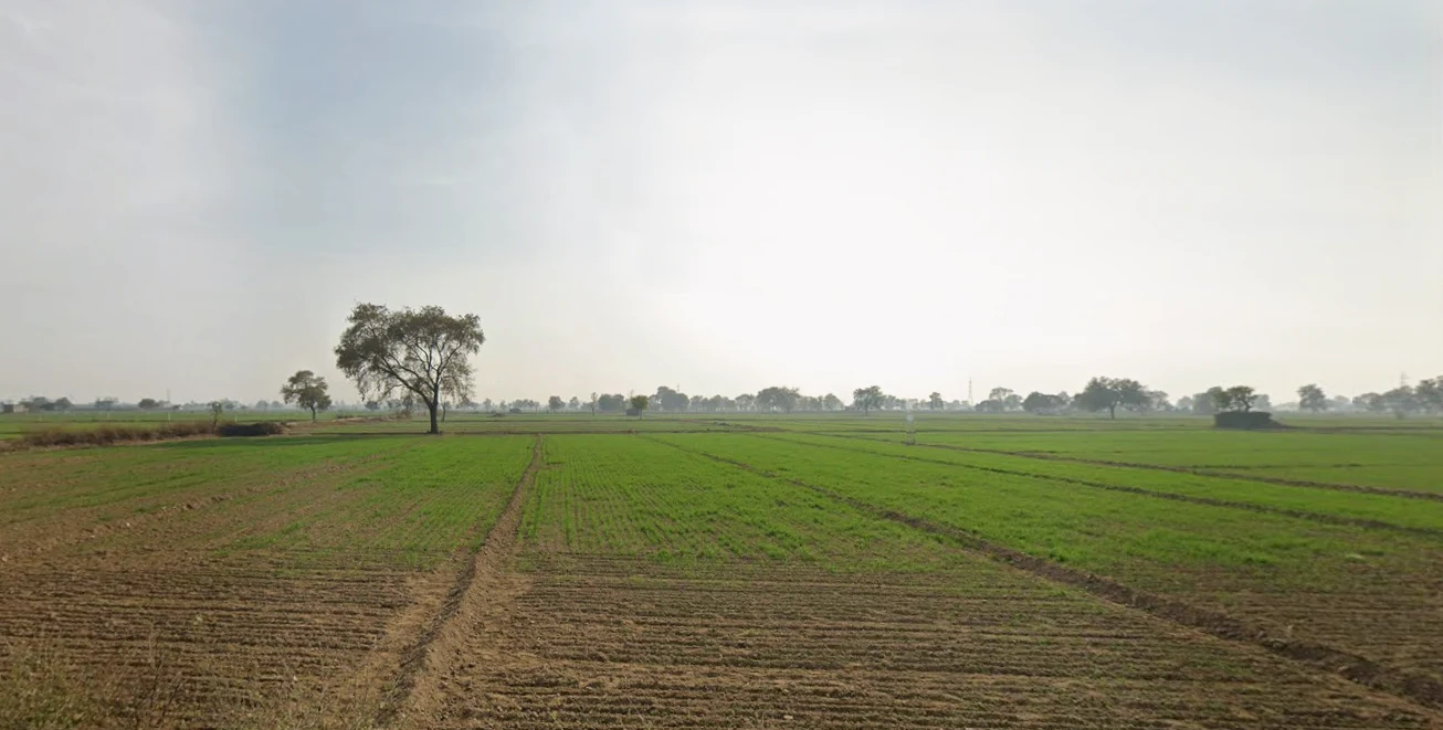 Kaimri, Haryana 125005, India