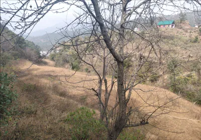 Nahan, Himachal Pradesh 173001, India preview 2