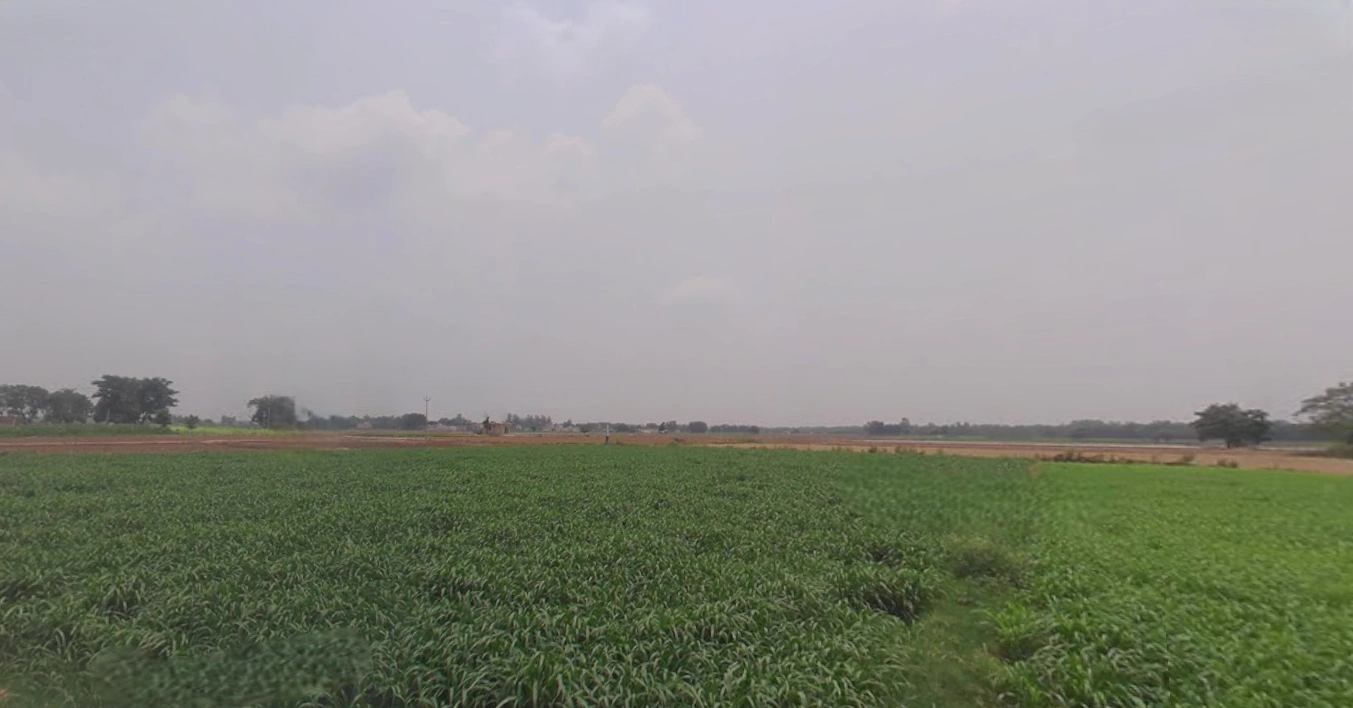 Morinda - Chunni Rd, Bhateri, Punjab, India
