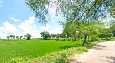 Barjora, West Bengal 722202, India preview 3