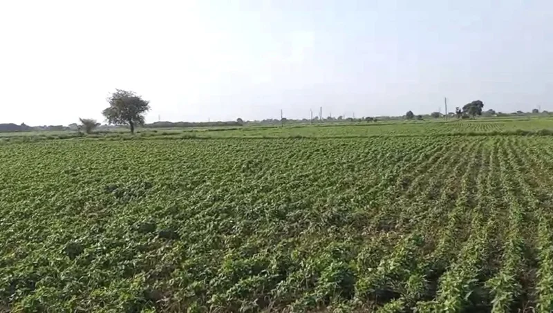 Suneda, Madhya Pradesh 456222, India preview 2