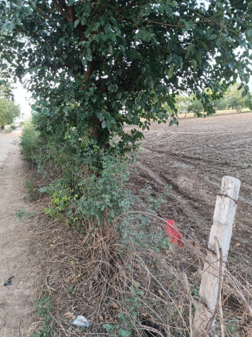 Chandauri, Uttar Pradesh, India