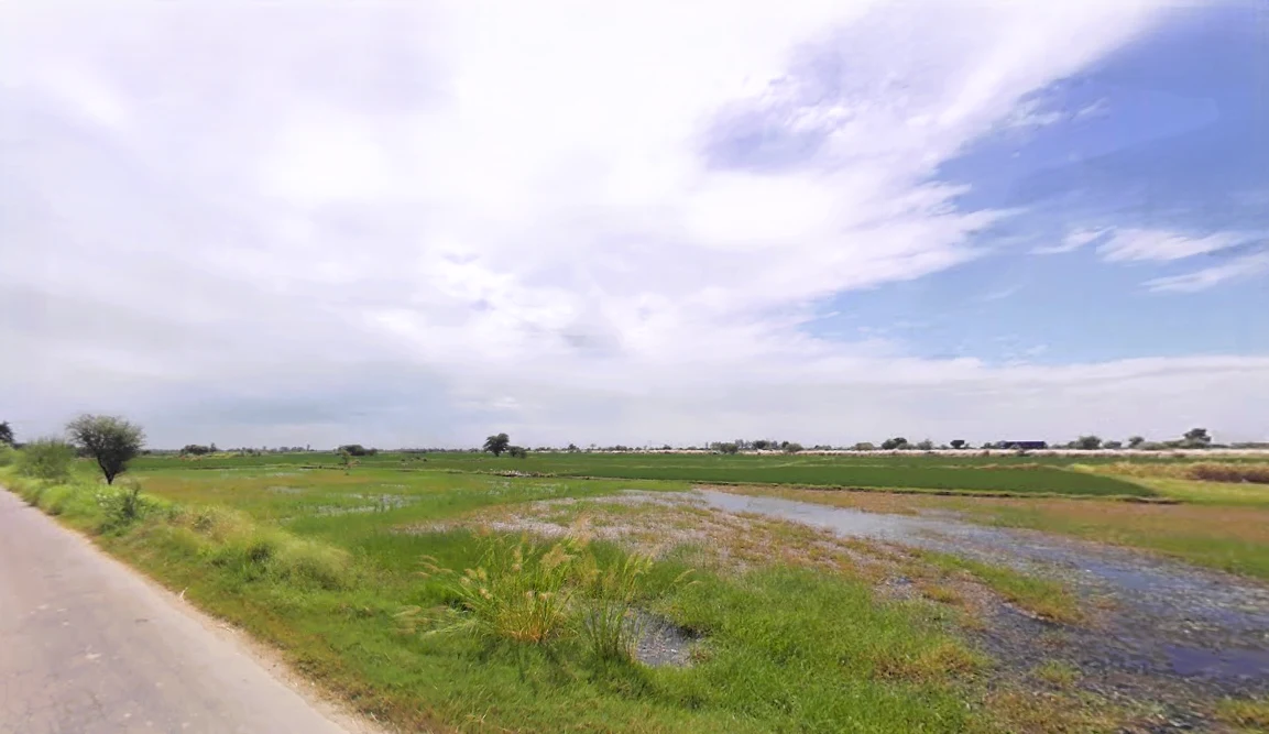 54CM+5MJ, K.K.Pur, Khalilpur, Haryana 122103, India